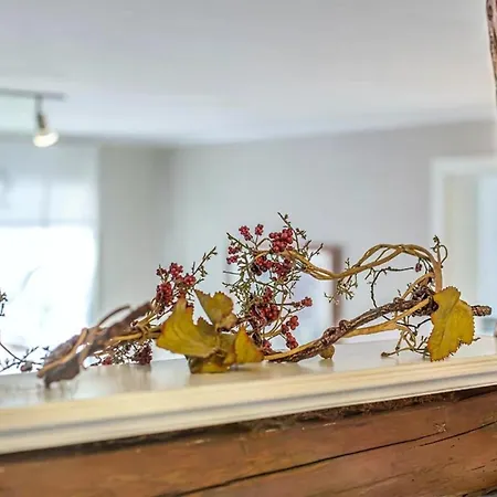 Traumzeit Im Gutshof Zum